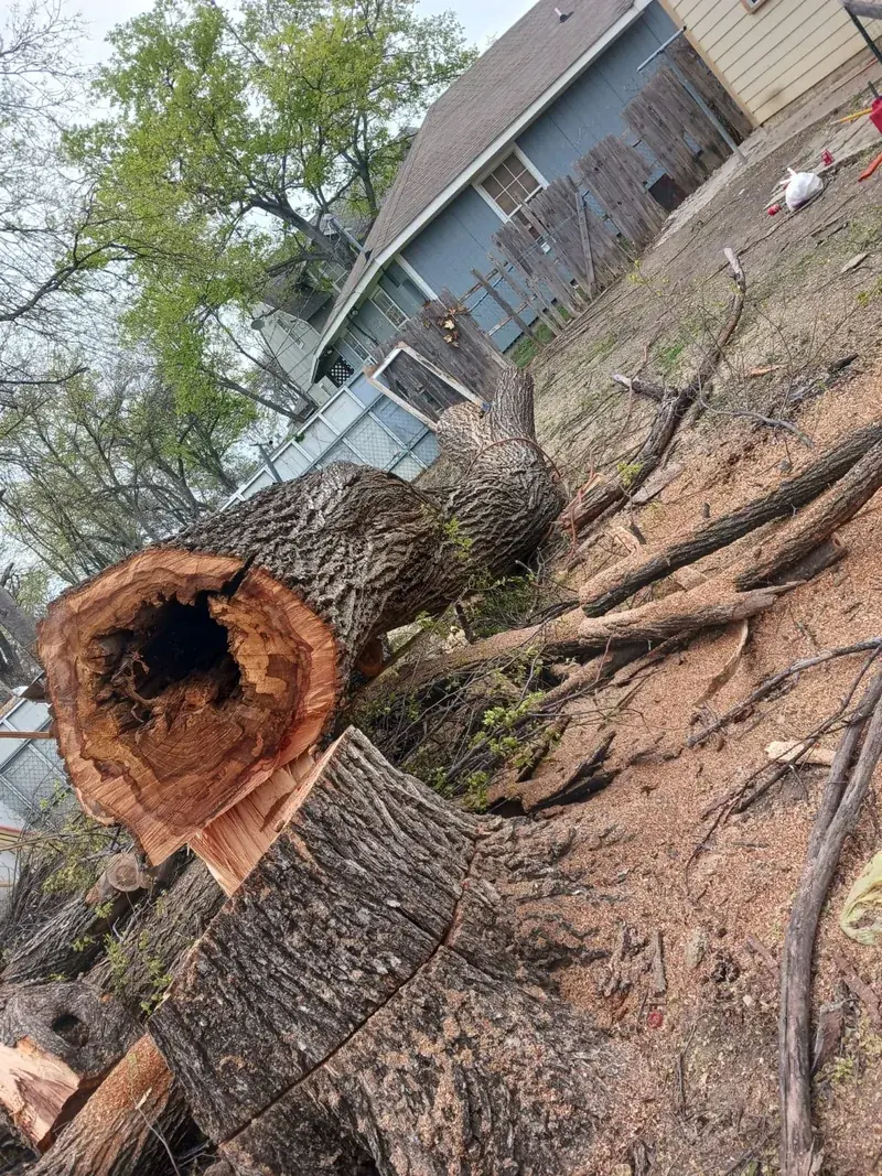 Wood fence installation by Martin Tree Service LLC in North Texas